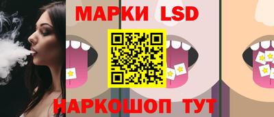 дмт Славгород