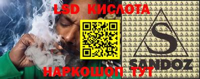 дмт Славгород