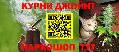 дмт Славгород