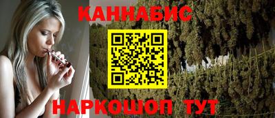 дмт Славгород