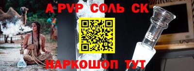 дмт Славгород