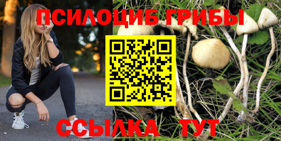 Псилоцибиновые грибы Cubensis  Вход с VPN  Псилоцибиновые грибы MAGIC MUSHROOMS  Ангарск 
