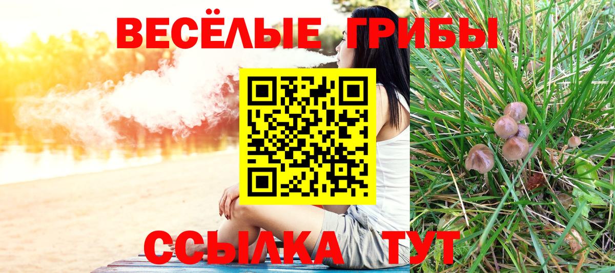 Псилоцибиновые грибы прущие грибы Ангарск